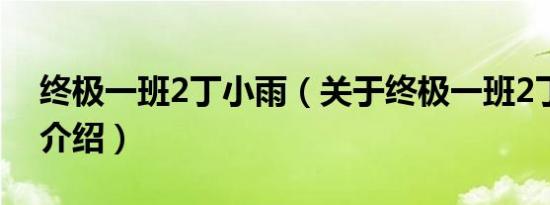 终极一班2丁小雨（关于终极一班2丁小雨的介绍）