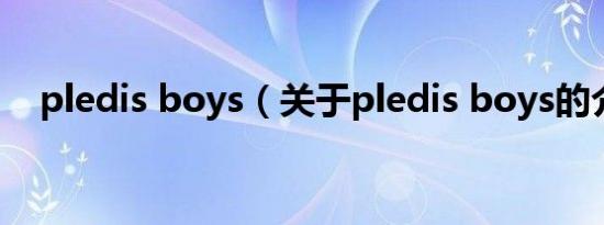 pledis boys（关于pledis boys的介绍）