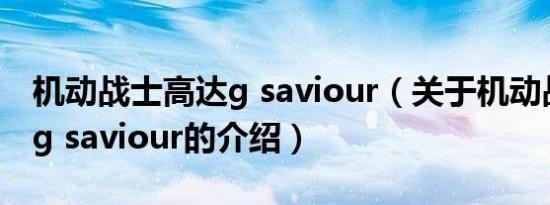 机动战士高达g saviour（关于机动战士高达g saviour的介绍）