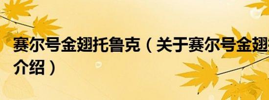 赛尔号金翅托鲁克（关于赛尔号金翅托鲁克的介绍）