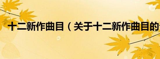 十二新作曲目（关于十二新作曲目的介绍）