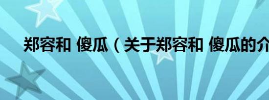 郑容和 傻瓜（关于郑容和 傻瓜的介绍）