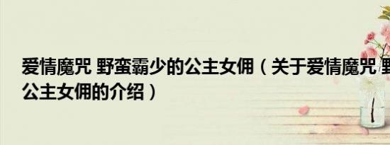 爱情魔咒 野蛮霸少的公主女佣（关于爱情魔咒 野蛮霸少的公主女佣的介绍）