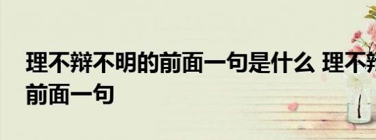 理不辩不明的前面一句是什么 理不辩不明的前面一句 