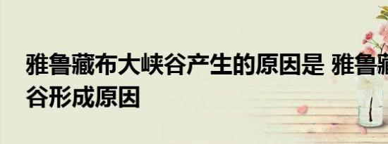 雅鲁藏布大峡谷产生的原因是 雅鲁藏布大峡谷形成原因 