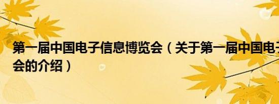 第一届中国电子信息博览会（关于第一届中国电子信息博览会的介绍）