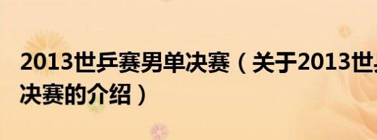 2013世乒赛男单决赛（关于2013世乒赛男单决赛的介绍）