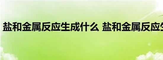 盐和金属反应生成什么 盐和金属反应生成啥 