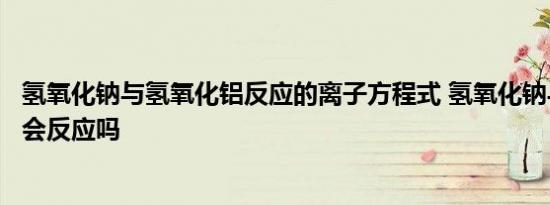 氢氧化钠与氢氧化铝反应的离子方程式 氢氧化钠与氢氧化铝会反应吗 