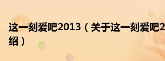 这一刻爱吧2013（关于这一刻爱吧2013的介绍）