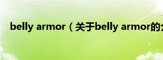 belly armor（关于belly armor的介绍）