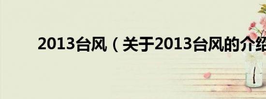 2013台风（关于2013台风的介绍）