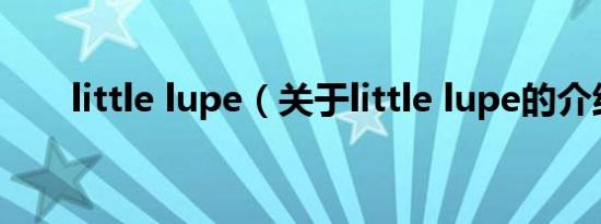 little lupe（关于little lupe的介绍）