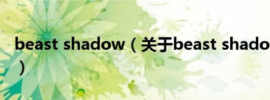 beast shadow（关于beast shadow的介绍）