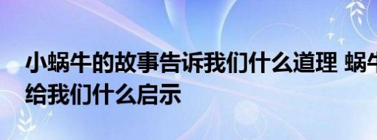 小蜗牛的故事告诉我们什么道理 蜗牛的故事给我们什么启示 