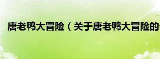 唐老鸭大冒险（关于唐老鸭大冒险的介绍）