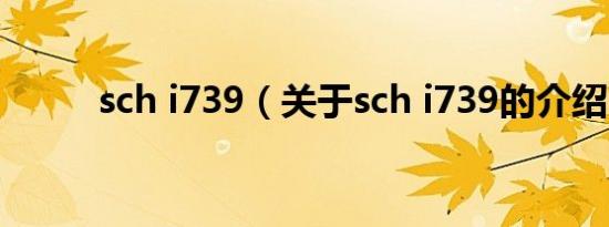 sch i739（关于sch i739的介绍）