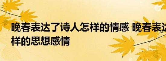 晚春表达了诗人怎样的情感 晚春表达诗人怎样的思想感情 