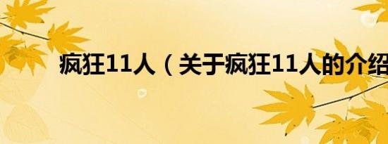 疯狂11人（关于疯狂11人的介绍）