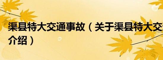 渠县特大交通事故（关于渠县特大交通事故的介绍）