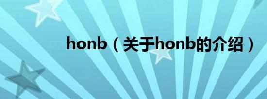 honb（关于honb的介绍）