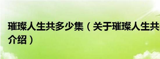 璀璨人生共多少集（关于璀璨人生共多少集的介绍）