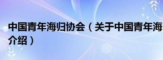 中国青年海归协会（关于中国青年海归协会的介绍）