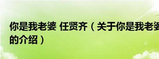 你是我老婆 任贤齐（关于你是我老婆 任贤齐的介绍）