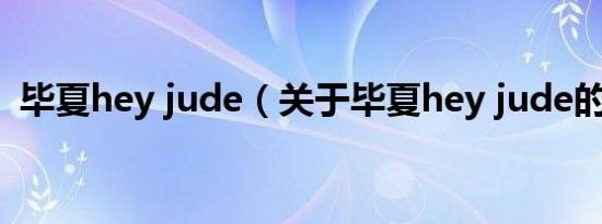 毕夏hey jude（关于毕夏hey jude的介绍）