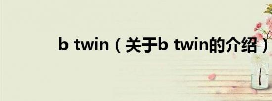 b twin（关于b twin的介绍）