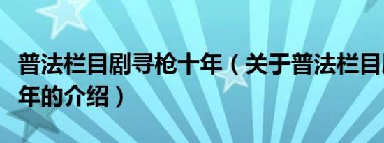 普法栏目剧寻枪十年（关于普法栏目剧寻枪十年的介绍）