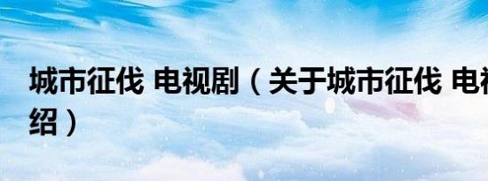 城市征伐 电视剧（关于城市征伐 电视剧的介绍）