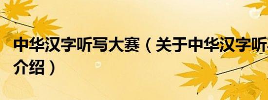 中华汉字听写大赛（关于中华汉字听写大赛的介绍）