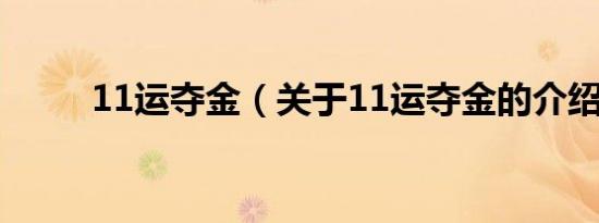 11运夺金（关于11运夺金的介绍）