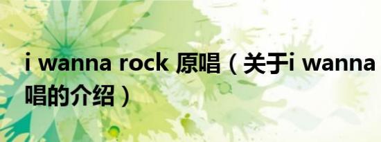 i wanna rock 原唱（关于i wanna rock 原唱的介绍）