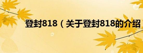 登封818（关于登封818的介绍）