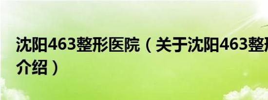 沈阳463整形医院（关于沈阳463整形医院的介绍）