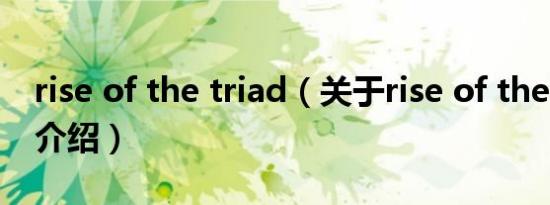 rise of the triad（关于rise of the triad的介绍）