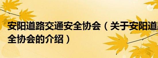 安阳道路交通安全协会（关于安阳道路交通安全协会的介绍）