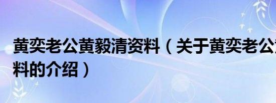 黄奕老公黄毅清资料（关于黄奕老公黄毅清资料的介绍）