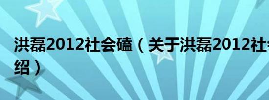 洪磊2012社会磕（关于洪磊2012社会磕的介绍）