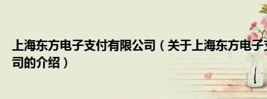 上海东方电子支付有限公司（关于上海东方电子支付有限公司的介绍）