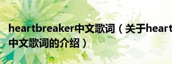 heartbreaker中文歌词（关于heartbreaker中文歌词的介绍）