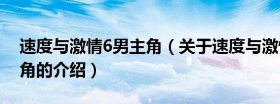 速度与激情6男主角（关于速度与激情6男主角的介绍）