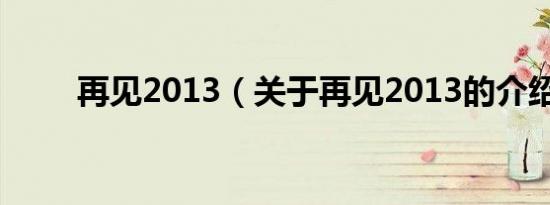 再见2013（关于再见2013的介绍）