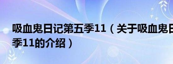 吸血鬼日记第五季11（关于吸血鬼日记第五季11的介绍）