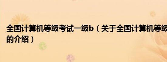 全国计算机等级考试一级b（关于全国计算机等级考试一级b的介绍）