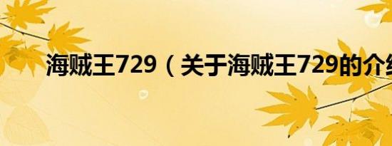 海贼王729（关于海贼王729的介绍）