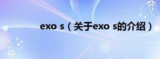 exo s（关于exo s的介绍）