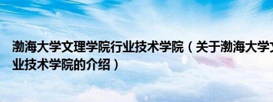 渤海大学文理学院行业技术学院（关于渤海大学文理学院行业技术学院的介绍）